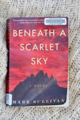 Book Review: Beneath a Scarlet Sky