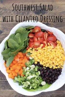 Southwest Salad with Cilantro Dressing